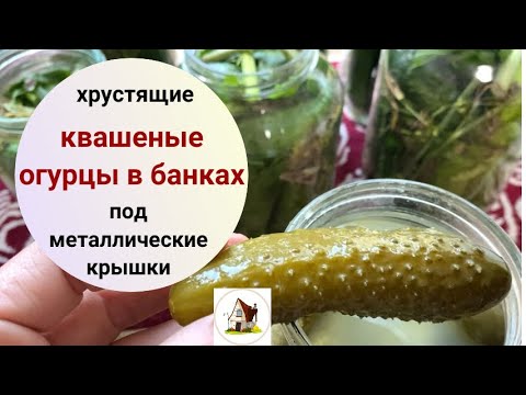 Видео: Огурцы квашеные в банках. Рецепт.