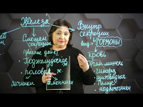 Видео: Гуморальная регуляция - управление с помощью гормонов. 8 класс.