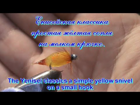 Видео: Енисейская классика. Жёлтая сопля на мелком крючке.