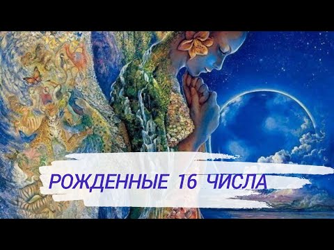 Видео: Люди, рожденные 16 числа любого месяца