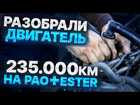 Видео: ЧТО БУДЕТ ЕСЛИ ЗАЛИВАТЬ МАСЛО PAO+ESTER / РАЗОБРАЛИ ДВИГАТЕЛЬ НА 236 000 КМ