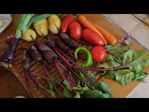 Видео: Влог домашний.Варенье,сушка инжира,чипсы и прочее.Урожай,и  мой многострадальный огород.Я заболела