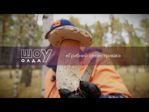 Видео: Грибний сезон триває ▶ ШОуОЛДА №415 ▶ Трофей