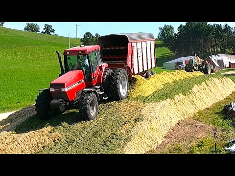 Видео: Самая высокая куча, которую мы когда-либо строили! Заготовка кукурузного силоса! Сезон сбора урож...