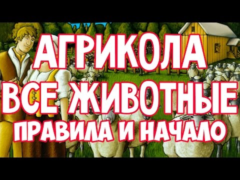 Видео: Как играть в настольную игру "Агрикола. Все животные" (на русском языке) How to play Agricola ACBAS