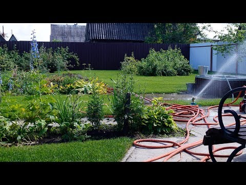 Видео: Укладка рулонного газона