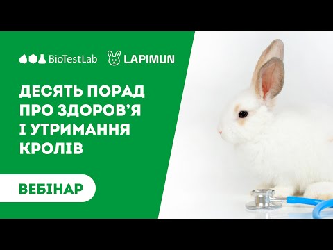 Видео: Десять порад про здоров’я і утримання кролів