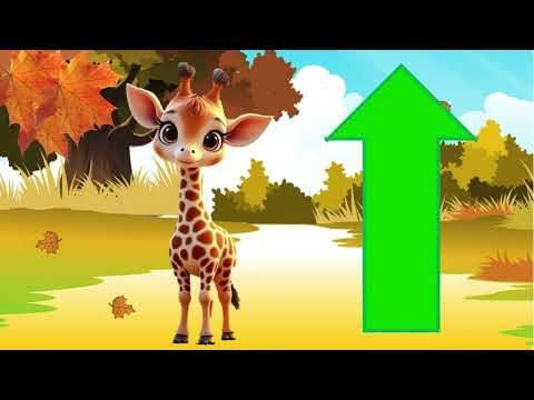 Видео: Логіко - математичний розвиток дошкільнят “ОРІЄНТУВАННЯ В ЧАСІ, ПОРІВНЯННЯ ПРЕДМЕТІВ ЗА ДОВЖИНОЮ"