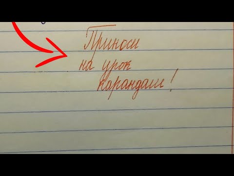 Видео: Страшно проверять после каникул