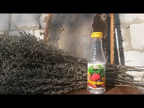 Видео: Как сохранить сушь,сотовые рамки от моли/Мой метод хранения суши