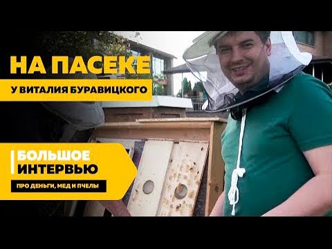 Видео: На пасеке Буравицкого — большое интервью