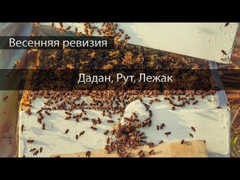 Видео: Какой тип ульев лучше? Весення ревизия Дадана, Рута и Лежака.