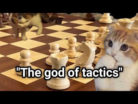 Видео: Типы шахматистов