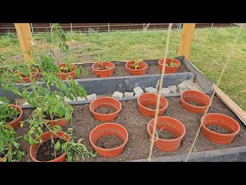 Видео: Теплица готова/день рождение внучки