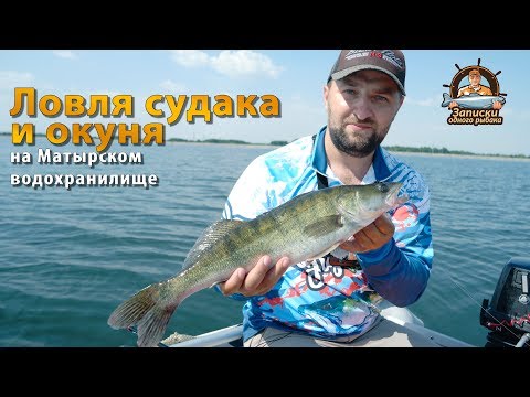 Видео: Ловля судака и окуня на матырском водохранилище