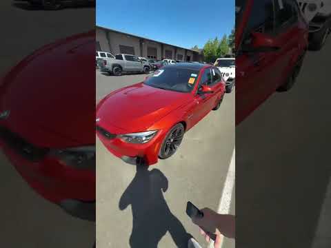 Видео: Стрим из аукциона