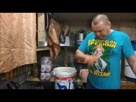 Видео: Брага из хурмы .