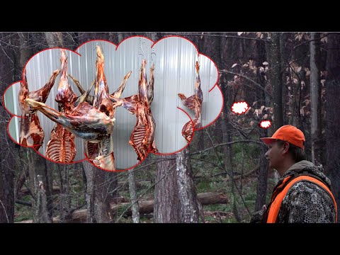 Видео: Один за другим || Пенсильванские гонки на оленей