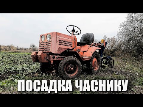 Видео: Посадка часнику 🧄(сезон 2024-2025) #хтз012 #крючкоф #мінітрактор