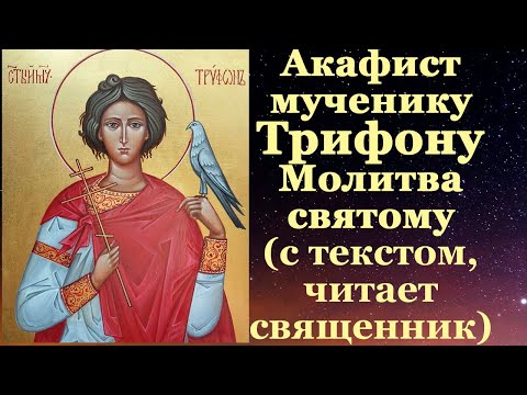 Видео: Акафист мученику Трифону, с текстом, слушать, читает священник, молитва святому Трифону Апамейскому