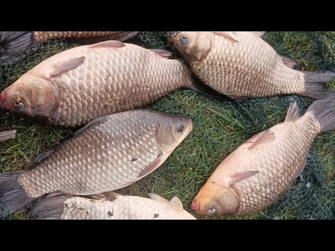 Видео: Рибалка на початку квітня. Тренування.👍