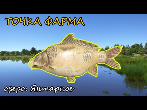 Видео: НАШЁЛ ТОЧКУ ДЛЯ ФАРМА - ОЗЕРО. ЯНТАРНОЕ. #рр4