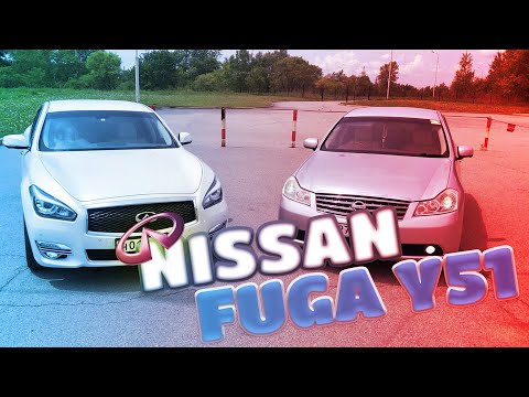 Видео: ОБЗОР Nissan FUGA Y51 🔥 2017 | Авто из Японии