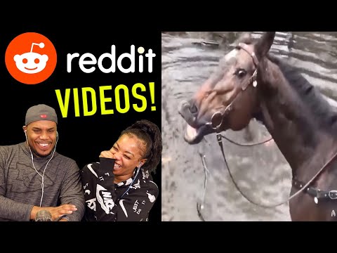 Видео: ЗАБАВНОЕ ВИДЕО НАЙДЕНО НА REDDIT!