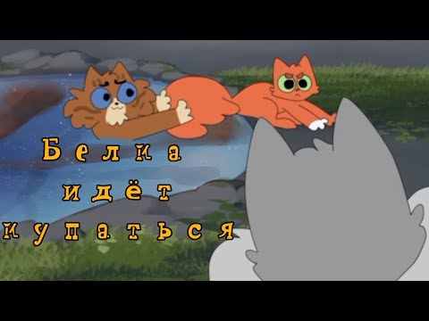 Видео: Белка идёт купаться! Русская озвучка (Moonkitti Animation) 