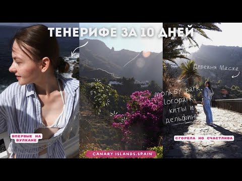 Видео: Тенерифе за 10 дней | Лоро парк, monkey park, вулкан и самые красивые виды 🔆✨