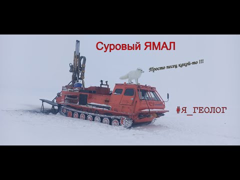 Видео: Суровый Ямал