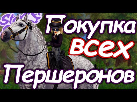 Видео: ПОКУПКА ВСЕХ МАСТЕЙ ПЕРШЕРОНОВ | ЛУЧШИЙ ТЯЖЕЛОВОЗ! | STAR STABLE