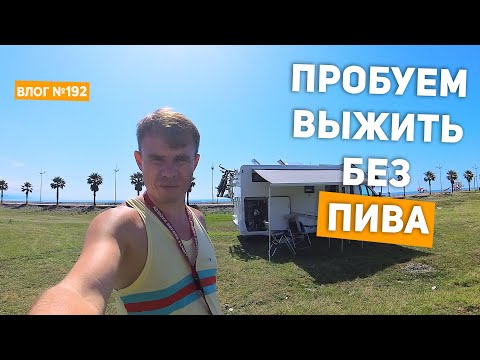Видео: [192] Кошка в шкафу, шашлык в маринаде, люди в пробке — будни автодома (Грузия)