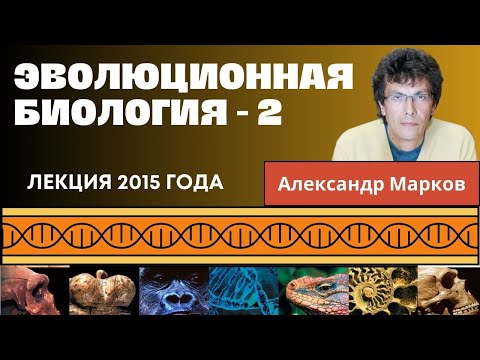 Видео: Мутации и естественный отбор. Эволюционная биология - 2.