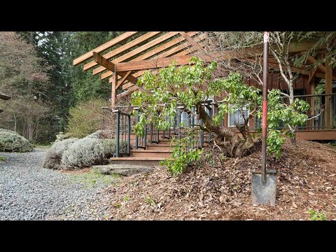 Видео: Городская добыча Ямадори