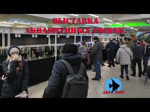 Видео: Выставка аквариумных рыбок.