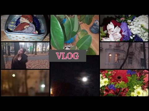 Видео: влог:дни в городе