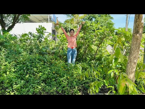 Видео: Соседи были УДИВЛЕНЫ, когда, вернувшись домой, обнаружили, что тротуар расчищен.