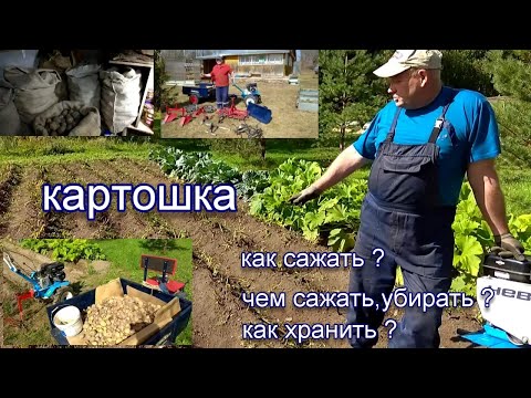 Видео: НЕВА мб-2.Картошка от посадки до уборки и хранения.Весь сезон.Весь цикл с заводскими комплектующими.