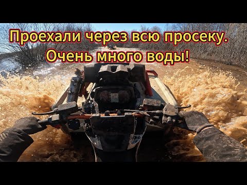 Видео: Проезжаем просеку на квадроциклах Odes 1000 Mud Pro, Yamaha Grizzly, Stels Gepard, очень много воды.