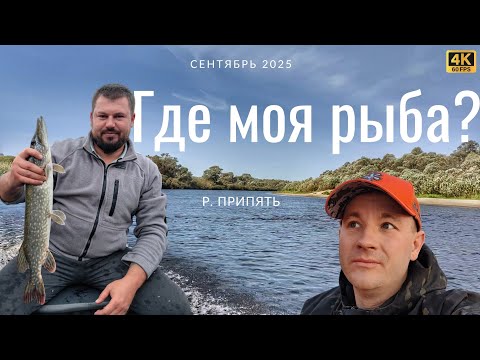 Видео: 2 дня рыбалки на реке Припять осенью