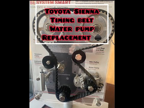 Видео: 2004 - 2006 TOYOTA SIENNA 3.3L КАК ЗАМЕНИТЬ РЕМЕНЬ ГРМ И ВОДЯНОЙ НАСОС