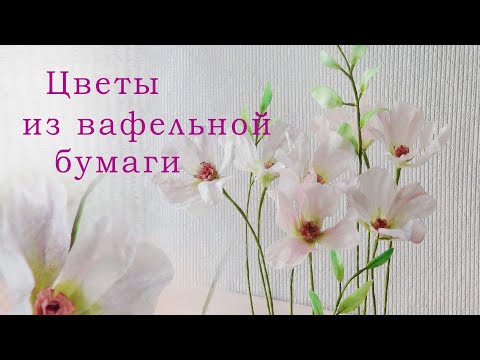 Видео: ЭФФЕКТНО и ВЫГОДНО/Wafer paper flowers/زهور من ورق الويفر