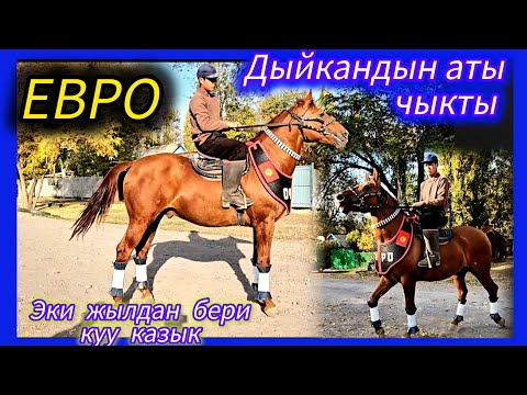 Видео: Пусть он сначала покатается на лошади 👆👆👆