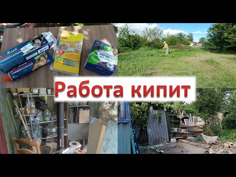 Видео: Купили дом на юге // Полностью разобрали старые постройки // Борьба с вредителями // Покос травы