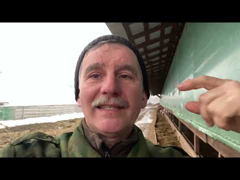 Видео: Сыропригодное молоко - что это такое, как его получить?