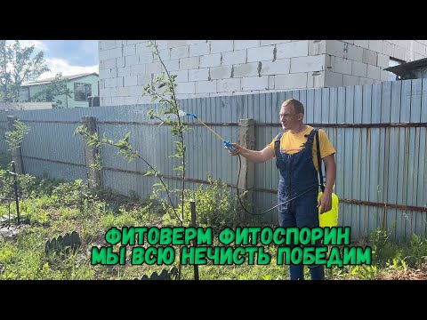 Видео: Фитоверм фитоспорин мы всю нечисть победим