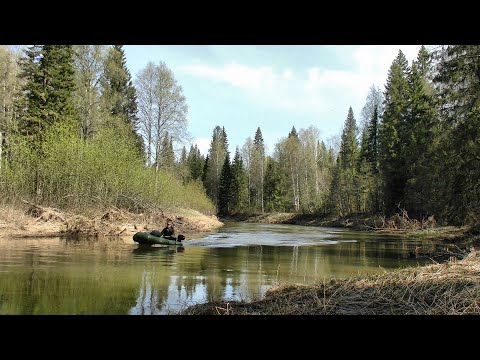 Видео: Кладоискательский поход в заброшенные деревни / 1 часть #368