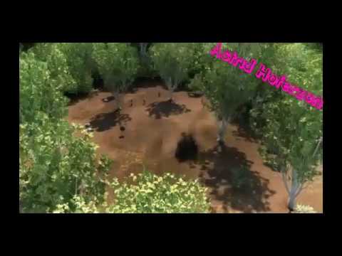 Видео: Иккинг и Астрид "больше чем любовь"