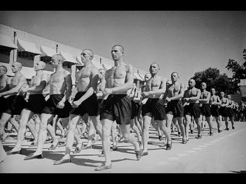 Видео: АЛЕКСАНДР ЛАЭРТСКИЙ - Лиричный чувак